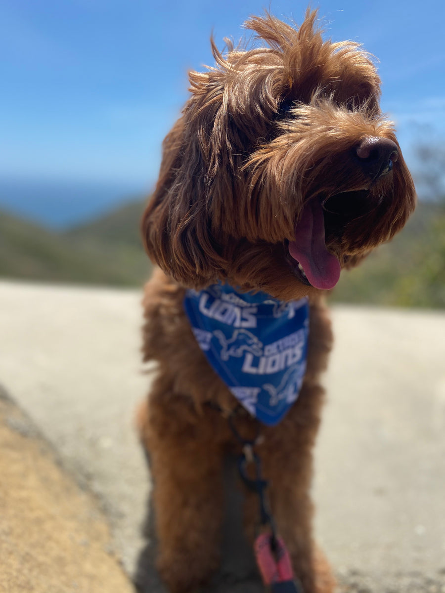 Detroit Lions Scrunchie Bandana