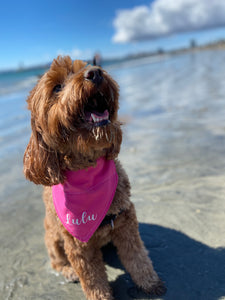 Personalized Solid Color Bandana