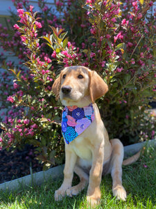 Summer Floral Bandana