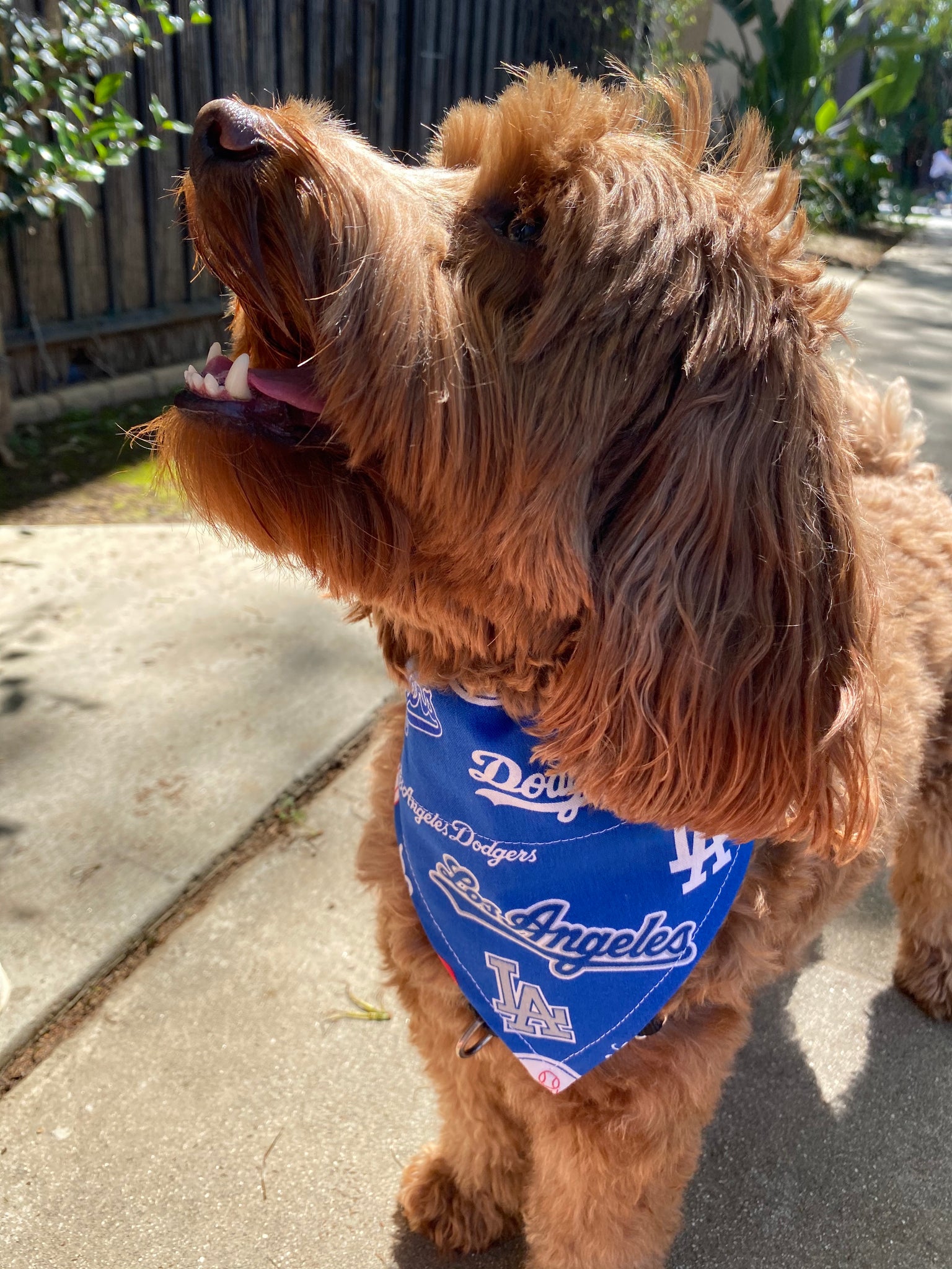 Los Angeles Dodgers Dog Jersey XSmall : : Sports