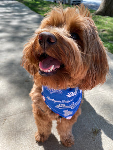 LA Dodgers Bandana