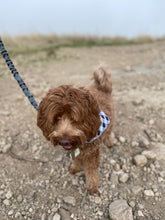 Load image into Gallery viewer, Black Plaid Bandana