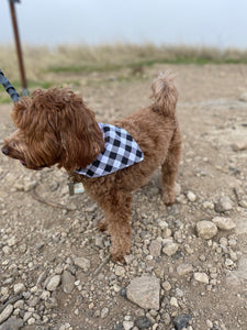 Black Plaid Bandana