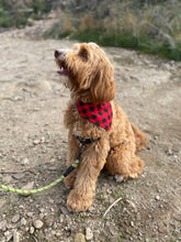Load image into Gallery viewer, Red Plaid Bandana