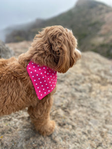 Pink Polka Dot Bandana