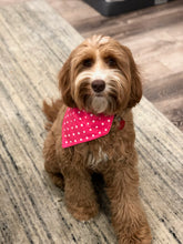 Load image into Gallery viewer, Pink Polka Dot Bandana