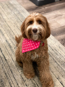 Pink Polka Dot Bandana