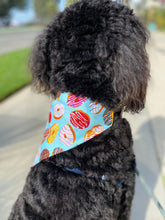 Load image into Gallery viewer, Donuts Bandana