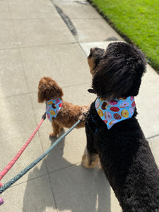 Donuts Bandana