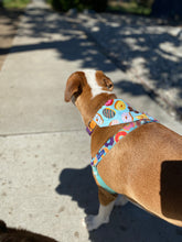 Load image into Gallery viewer, Donuts Bandana