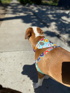 Donuts Bandana