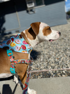 Donuts Bandana