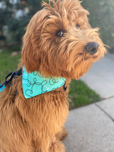 Teal Anchors Bandana