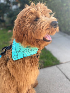 Teal Anchors Bandana