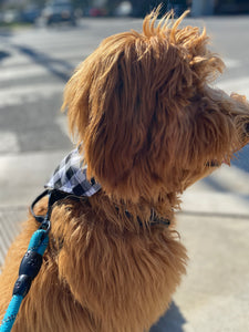 Black Plaid Bandana