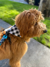 Load image into Gallery viewer, Black Plaid Bandana