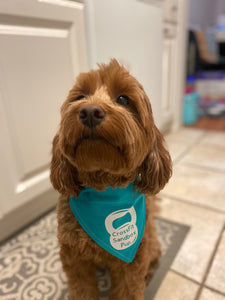 Personalized Solid Color Bandana