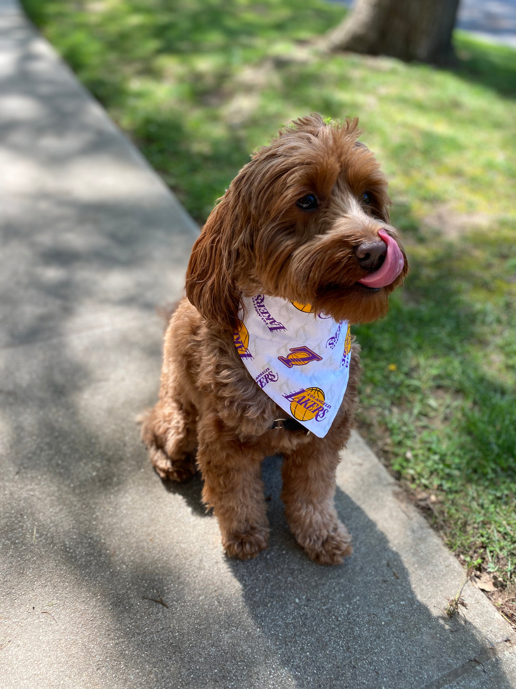 White LA Lakers Bandana