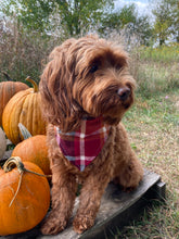 Load image into Gallery viewer, Red Fall Plaid Bandana