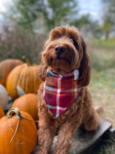 Load image into Gallery viewer, Red Fall Plaid Bandana
