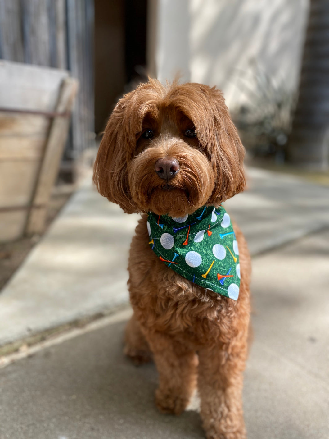 Golf Bandana