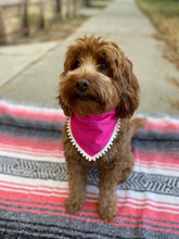 Load image into Gallery viewer, Solid Pink Bandana