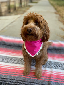 Solid Pink Bandana