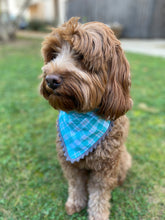 Load image into Gallery viewer, Teal + Gray Plaid Bandana