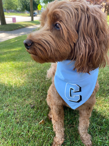 Grand Rapids Christian Bandana