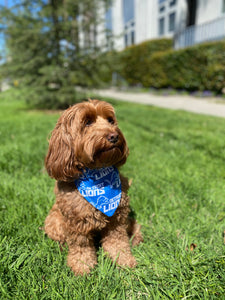 Detroit Lions Bandana