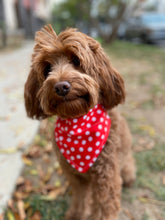 Load image into Gallery viewer, Red Polka Dot Bandana