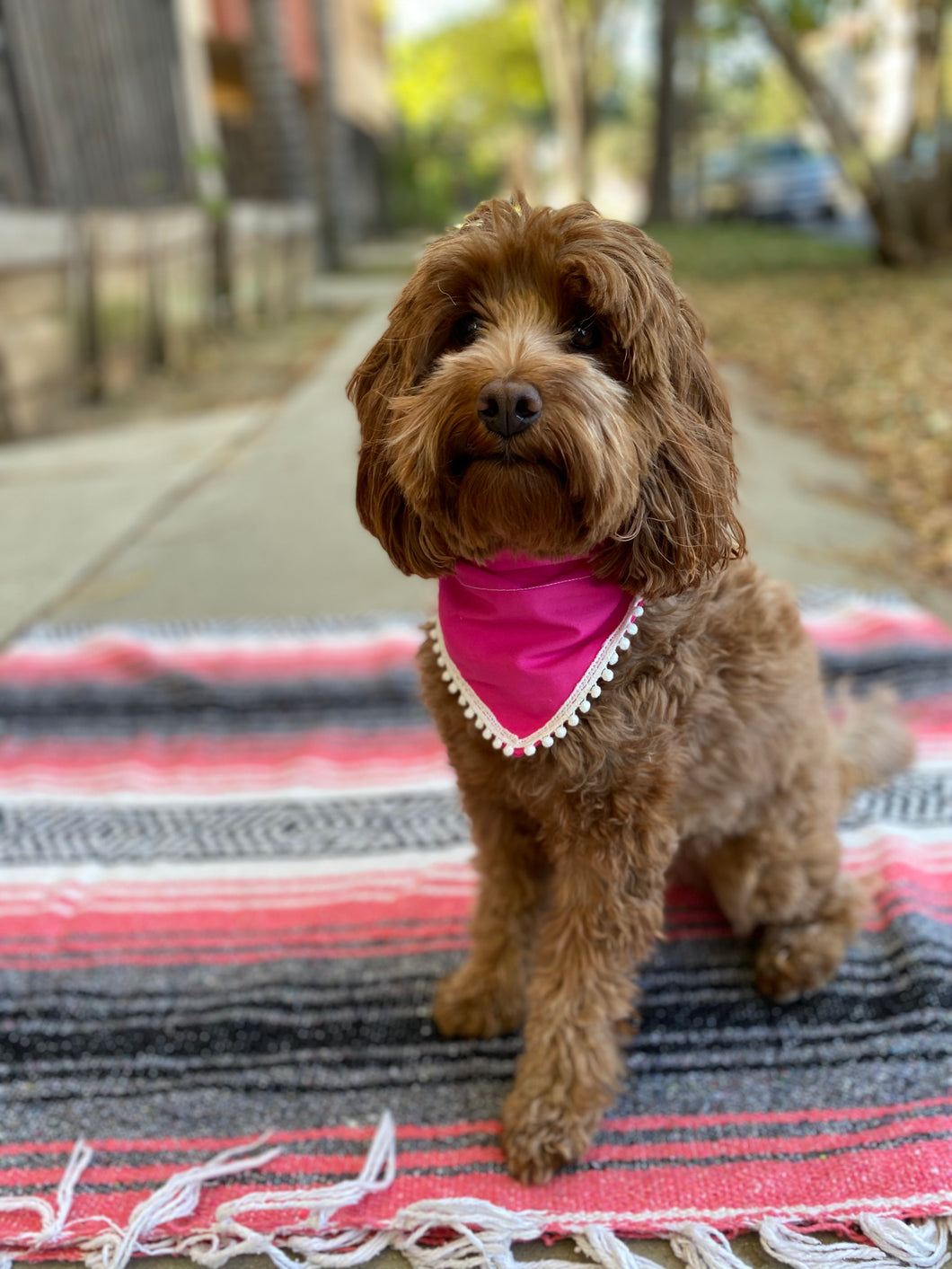 Solid Pink Bandana