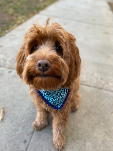 Teal Leopard Bandana