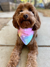 Load image into Gallery viewer, Cosmic Canine Bandana