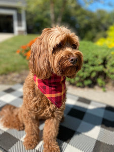 Red and Orange Fall Plaid Bandana