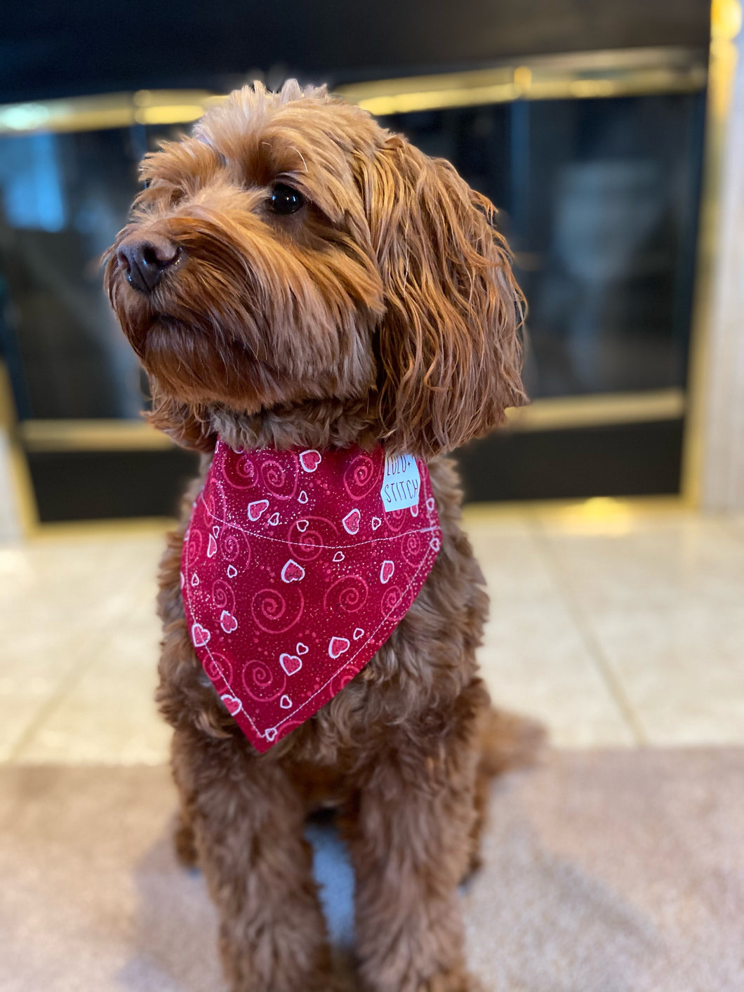 Red Sparkly Hearts Bandana