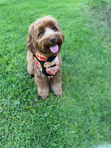 Pizza Bandana