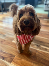 Load image into Gallery viewer, Red Gingham Bandana