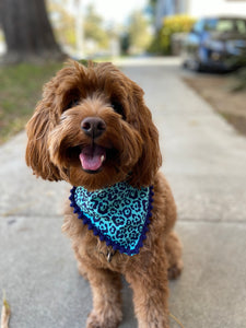 Teal Leopard Bandana