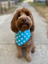 Load image into Gallery viewer, Teal Polka Dot Bandana