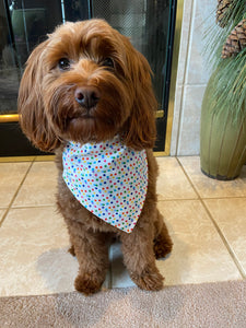 Colorful Polka Dot Bandana