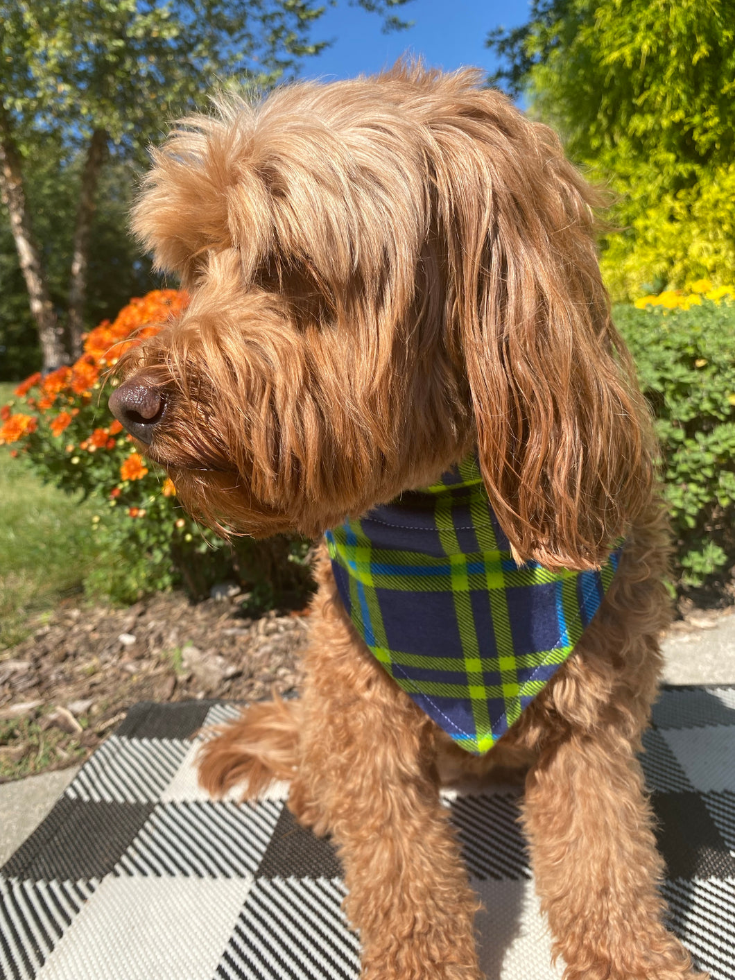 Blue and Green Fall Bandana