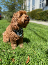 Load image into Gallery viewer, Michigan State University Bandana