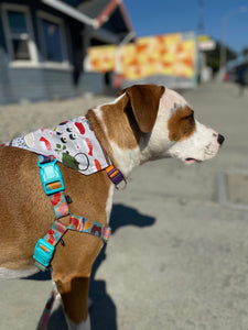 California Roll Bandana