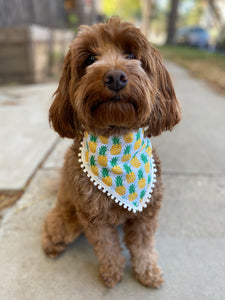 Pineapple Party Bandana