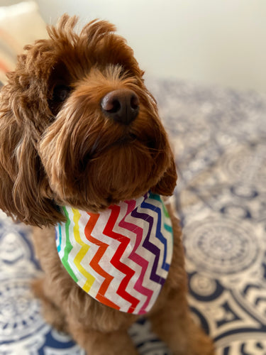 Rainbow Chevron Bandana