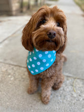 Load image into Gallery viewer, Teal Polka Dot Bandana