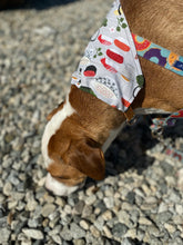 Load image into Gallery viewer, California Roll Bandana