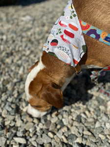 California Roll Bandana