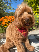 Load image into Gallery viewer, Red and Orange Fall Plaid Bandana